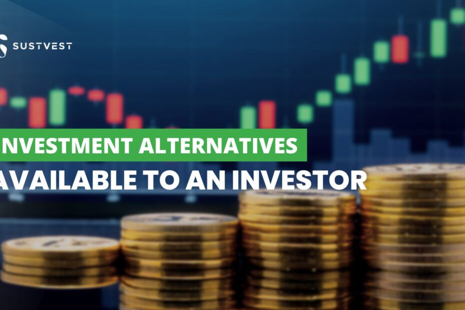 what are the different investment alternatives available to an investor