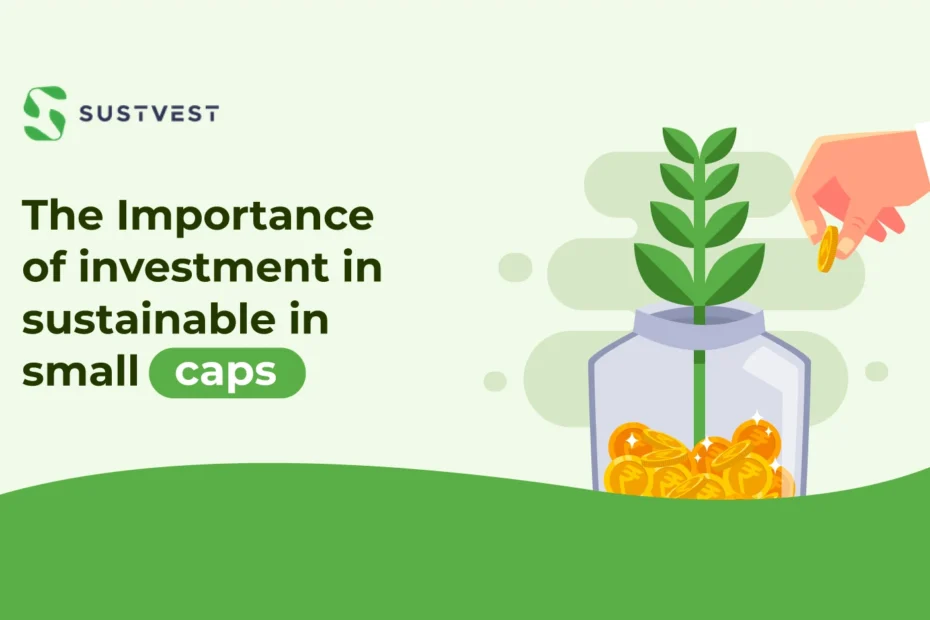 Investment in sustainability