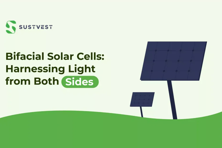 bifacial solar cells