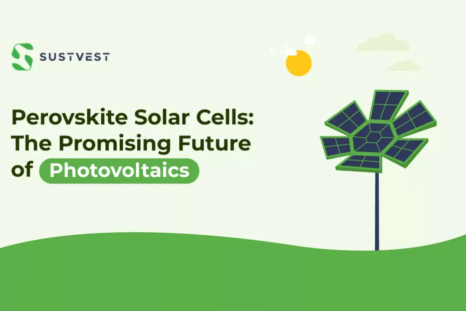 perovskite solar cells